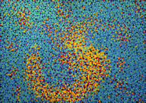 Anos luz - Celestial fire works - Marysia Portinari Anos luz - Celestial fire works - Marysia Portinari