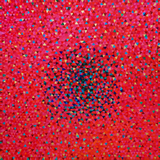 Supernova - Marysia Portinari Supernova - Marysia Portinari