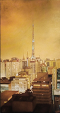 Vista de São Paulo - Carlos Eduardo Zornoff Vista de São Paulo - Carlos Eduardo Zornoff