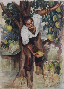 Colhedor de Frutas - Georgina de Albuquerque Colhedor de Frutas - Georgina de Albuquerque