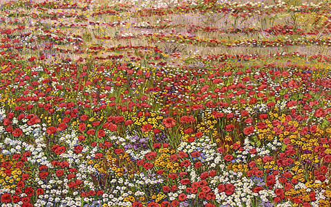 Primavera colorida - Marli Pereira Oliveira Primavera colorida - Marli Pereira Oliveira