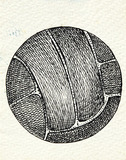 Bola - Aldemir Martins Bola - Aldemir Martins
