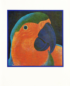 Papagalia - 97/100 - Claudio Tozzi Papagalia - 97/100 - Claudio Tozzi