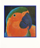 Papagalia - 97/100 - Claudio Tozzi Papagalia - 97/100 - Claudio Tozzi