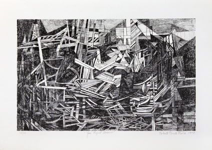 José Piquet Carneiro - 171/200 - Burle Marx, Roberto José Piquet Carneiro - 171/200 - Burle Marx, Roberto