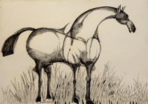 Cavalo - Aldemir Martins Cavalo - Aldemir Martins