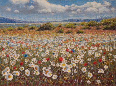 Campo de margaridas - Raquel Taraborelli Campo de margaridas - Raquel Taraborelli