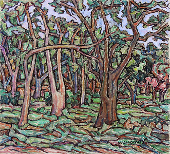Parque Piqueri - Tatuapé - Manoel Martins Menacho Parque Piqueri - Tatuapé - Manoel Martins Menacho